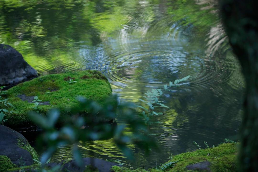 Photo of Others in Central Kyoto