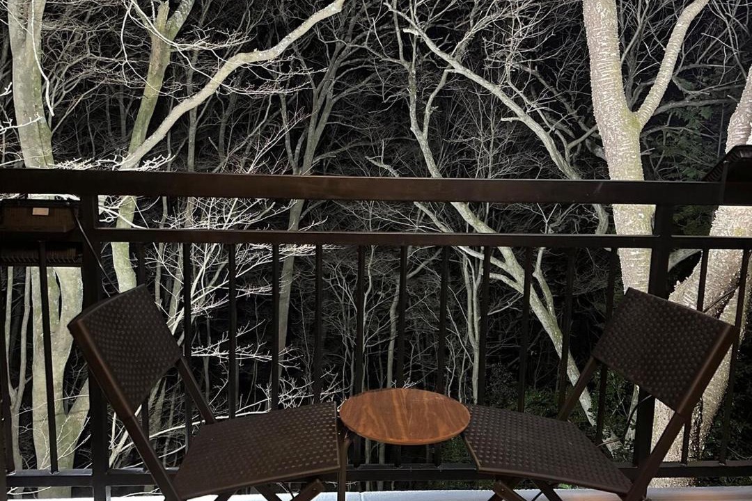 Photo of Patio Balcony in Izu