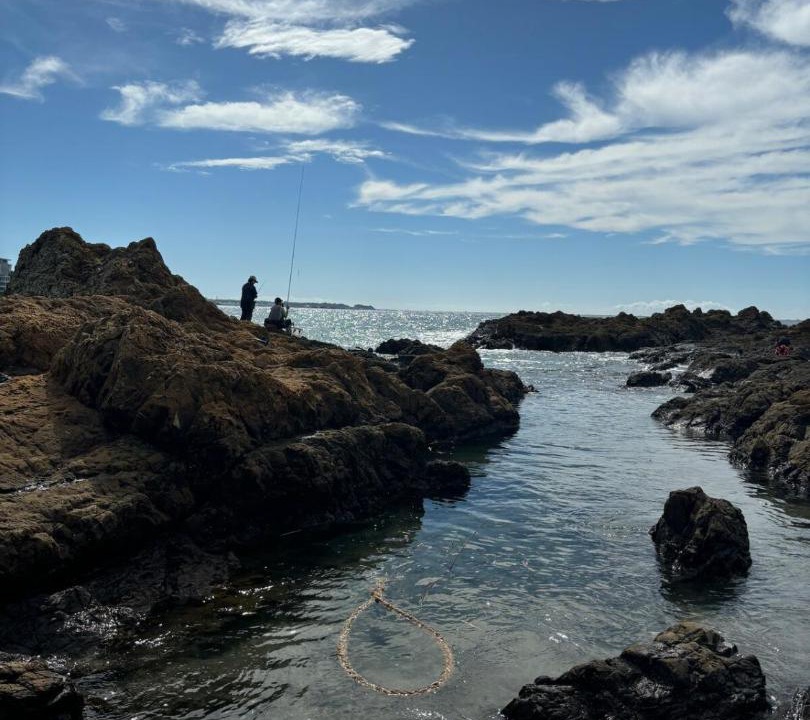 Photo of Others in Hayama