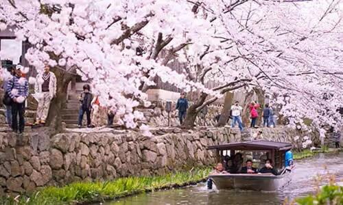 Photo of Others in Omihachiman