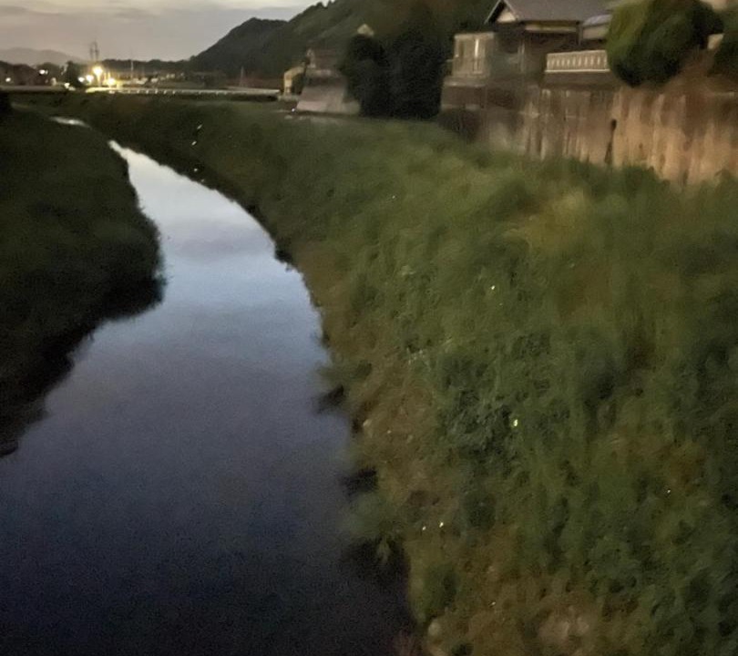 Photo of Others in Kameoka