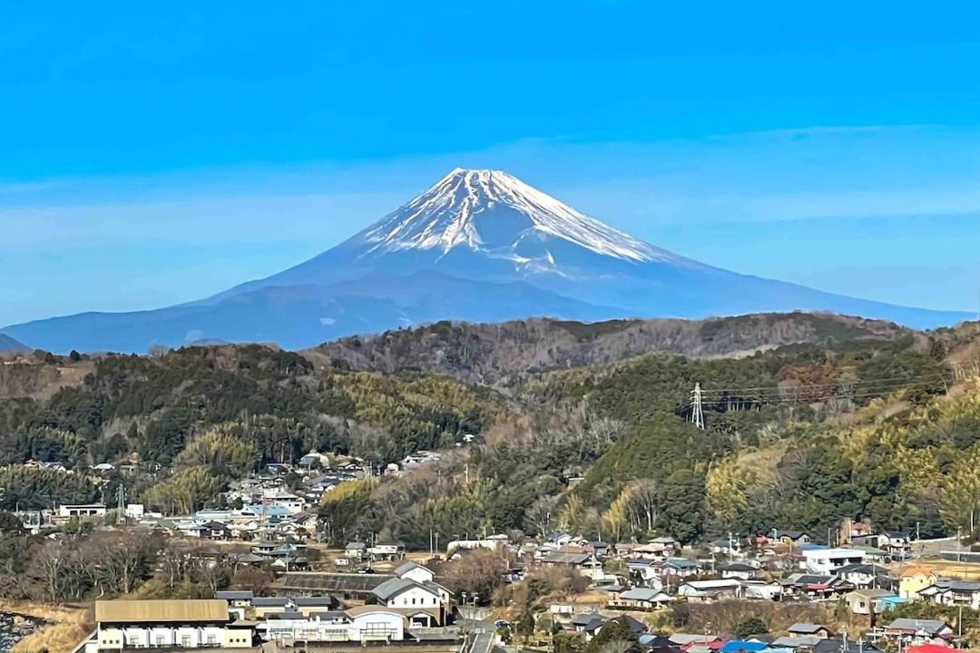 Photo of Others in Izu