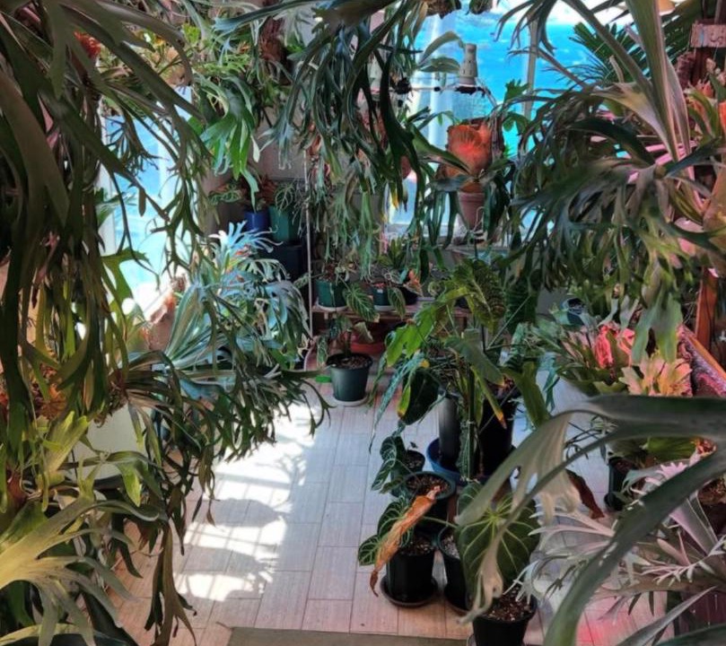 Photo of Others in Kyotango
