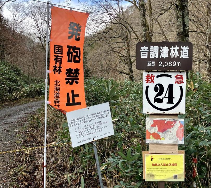 Photo of Outdoor in Hiro-gun