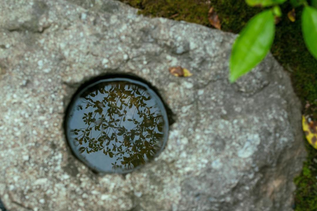 Photo of Others in Sasayama