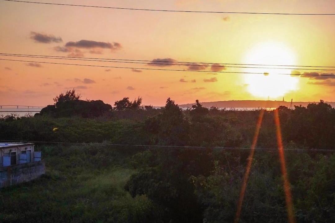 Photo of Others in Miyakojima