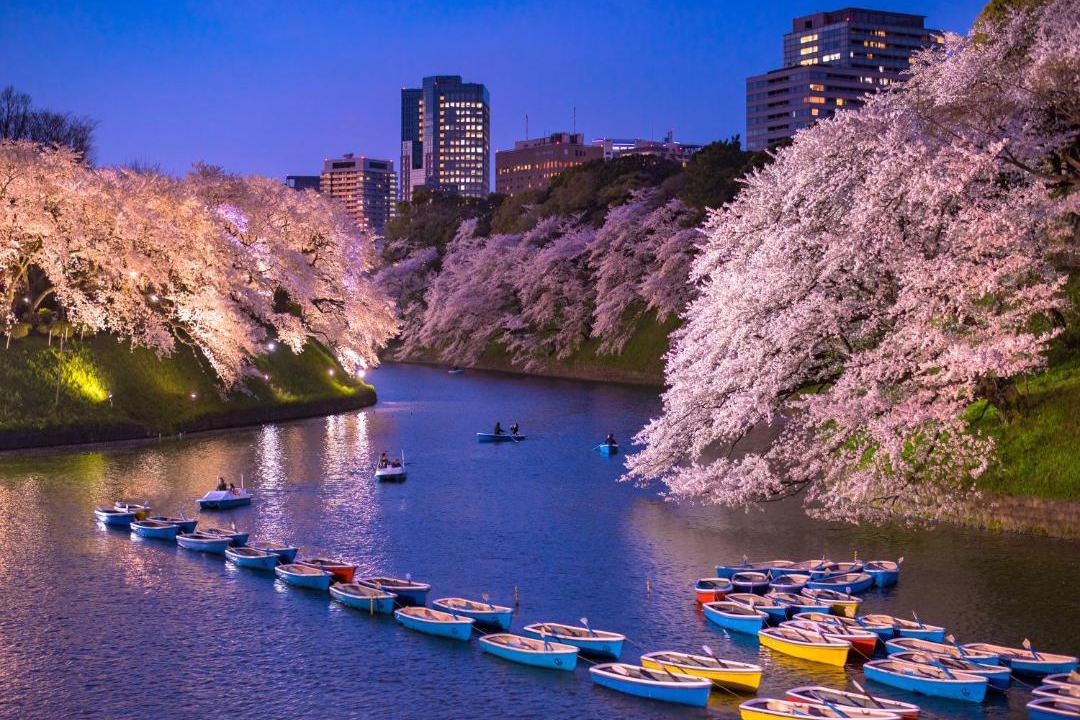 Photo of Others in Iidabashi