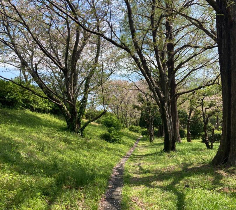 Photo of Others in Suruga Ward