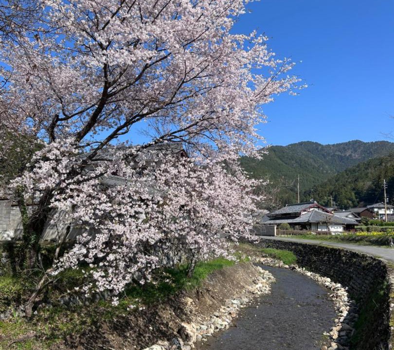 Photo of Others in Ohara