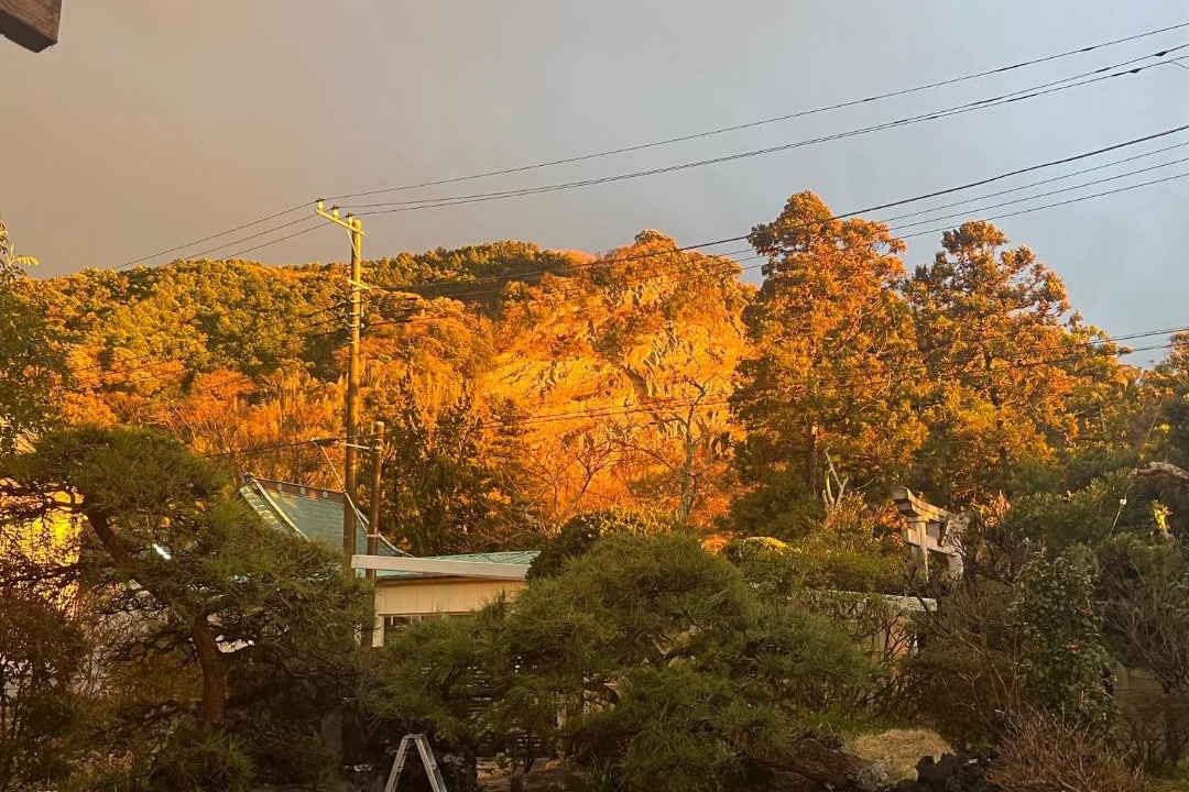Photo of Others in Minamiboso