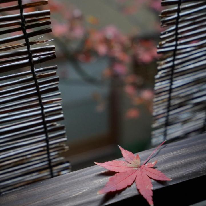 Photo of Others in Nishijin