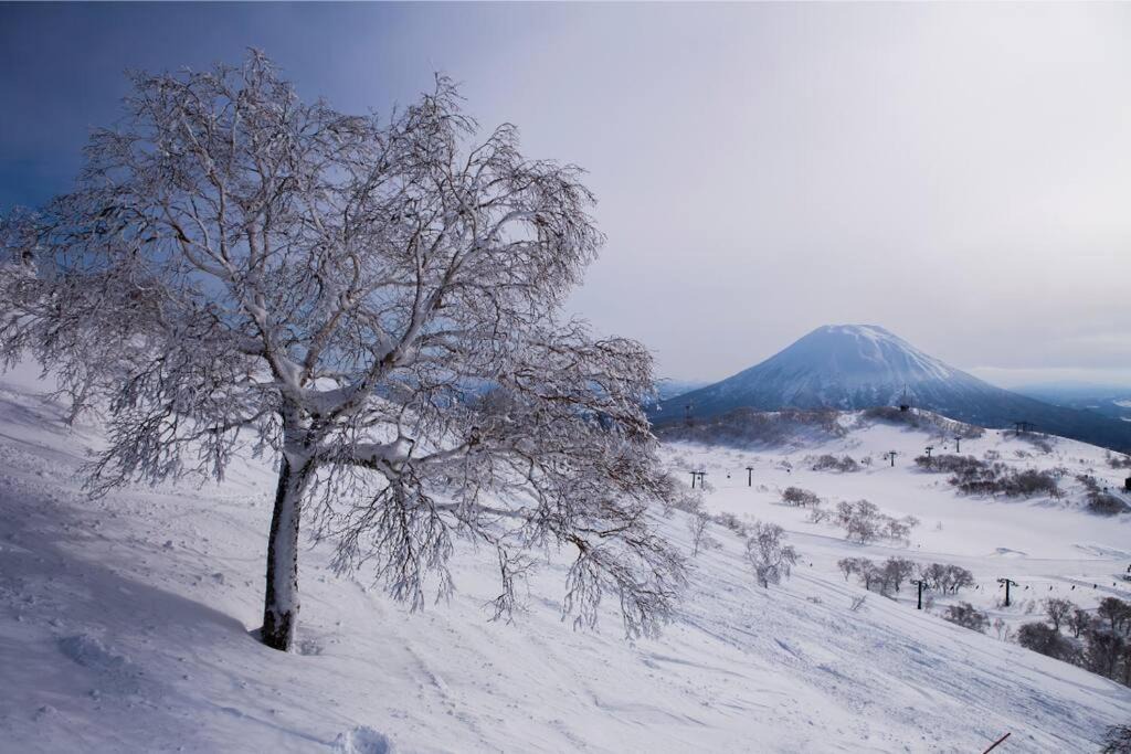 Photo of Others in Yoichi