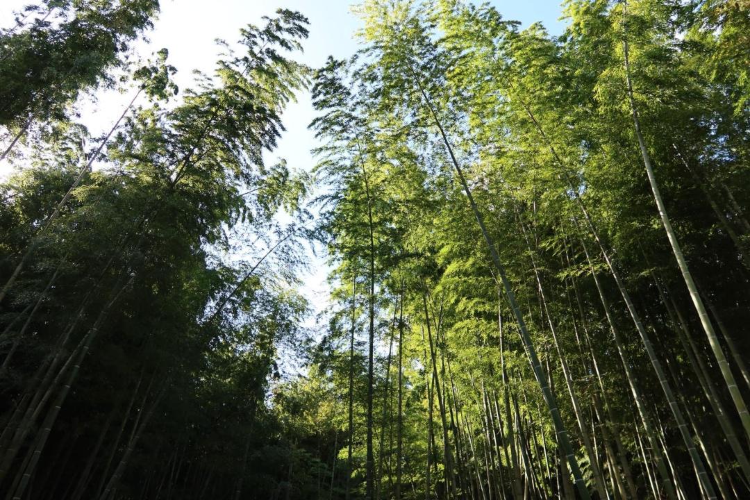 Photo of Others in Katsuura