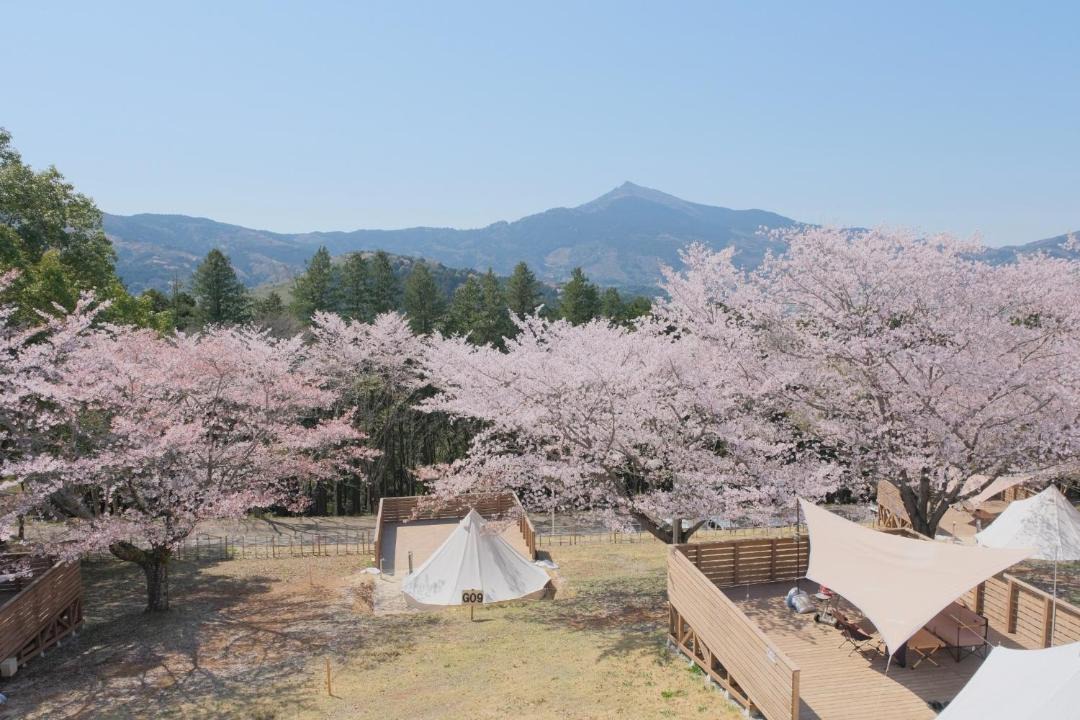 Photo of Others in Ishioka