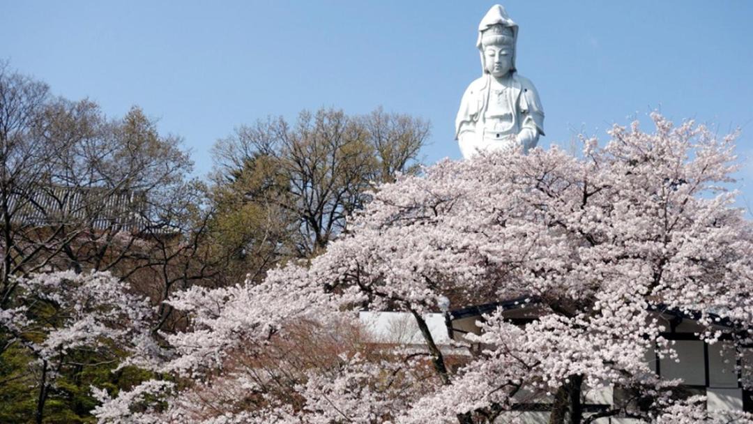 Photo of Others in Takasaki