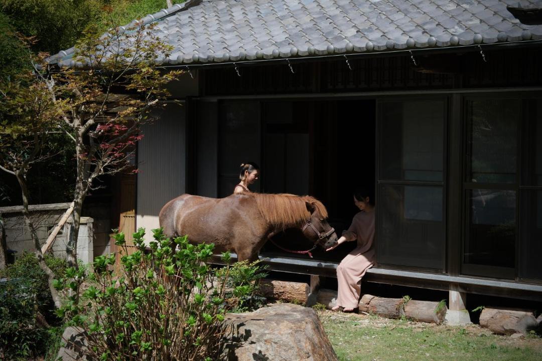 Photo of Others in Sakurai