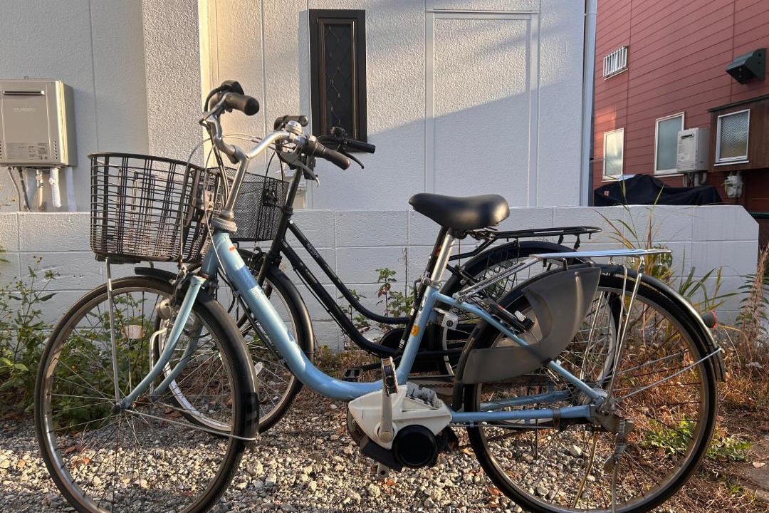 Photo of Others in Fuchu