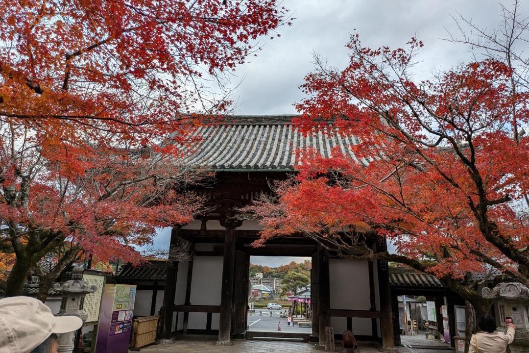 Photo of Others in Otsu