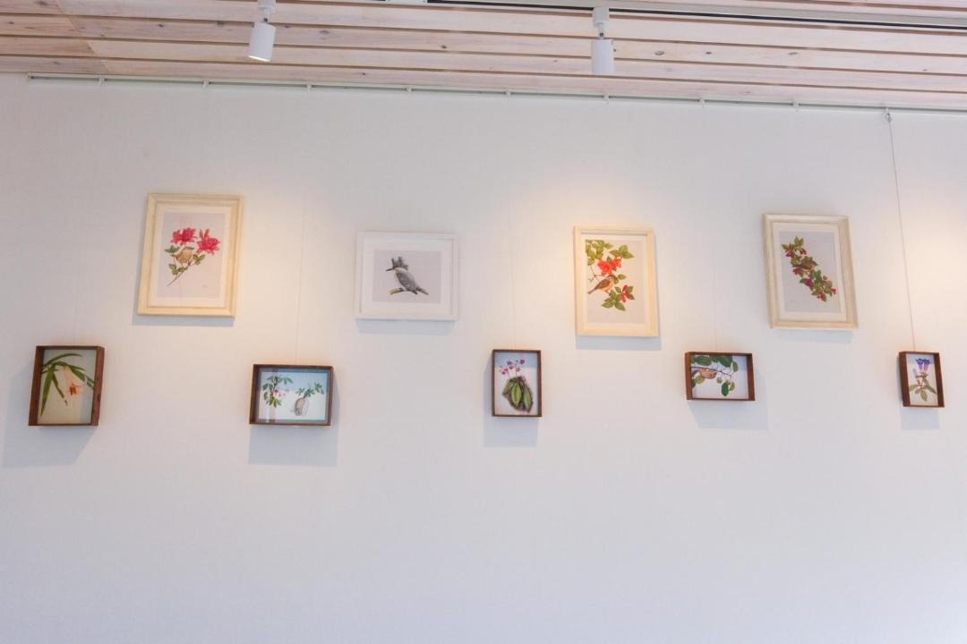 Photo of Others in Tanabe