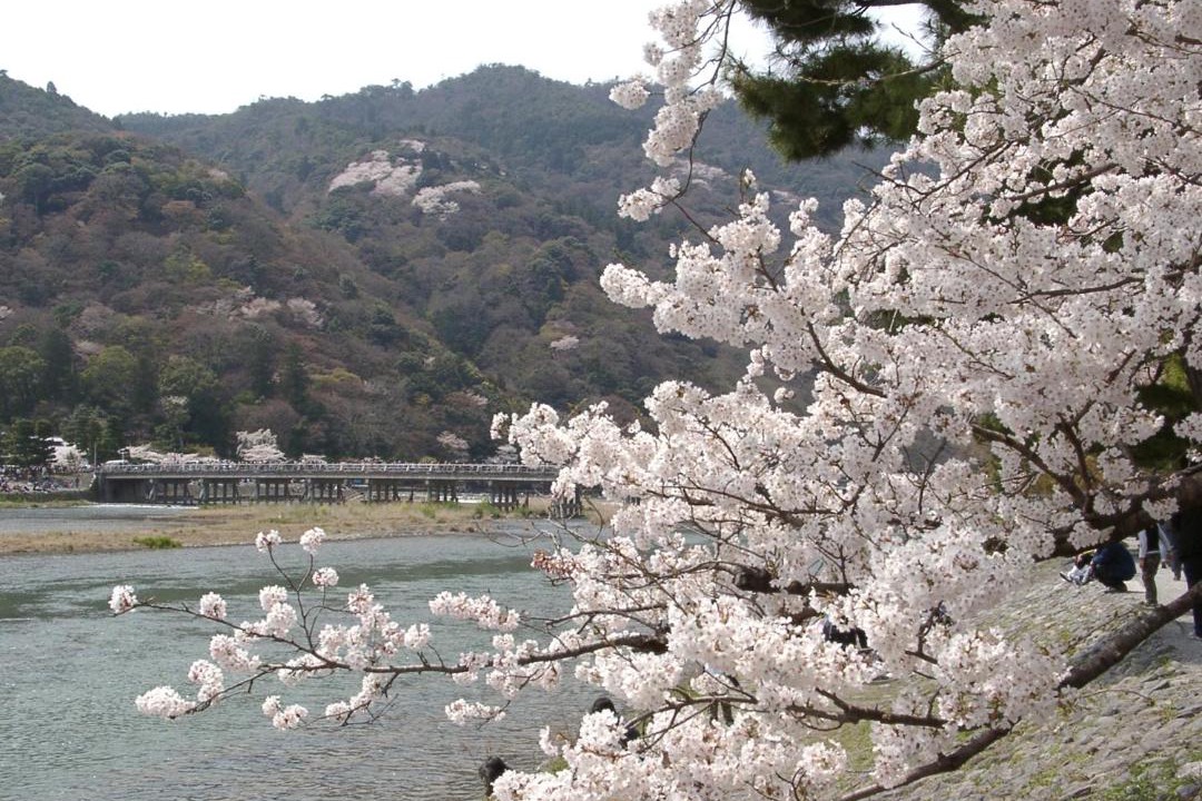 Photo of Others in Uzumasa