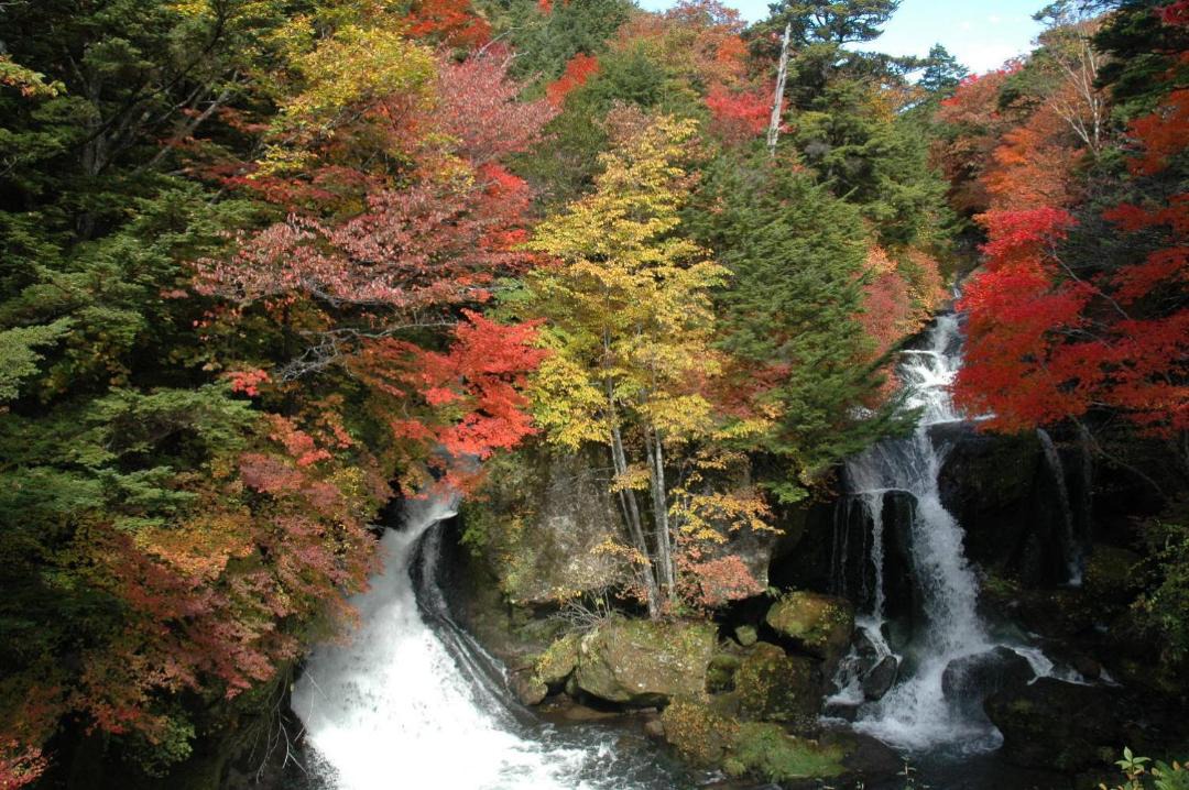 Photo of Others in Chuzenji Onsen