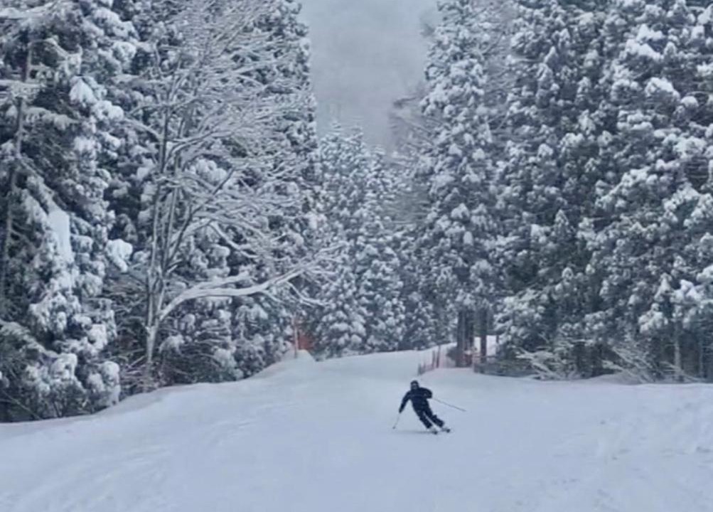 Photo of Others in Nozawaonsen