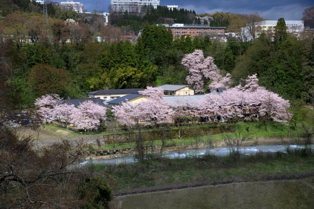 Photo of Others in Kanazawa