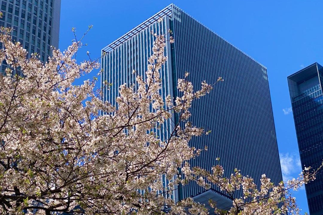 Photo of Buildings in Meieki