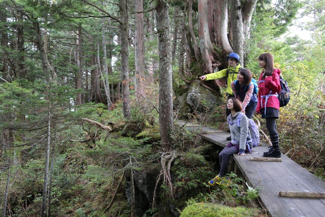 Photo of Others in Shiga Highlands