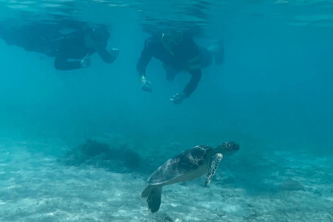 Photo of Others in Iriomote-jima Taketomi-cho