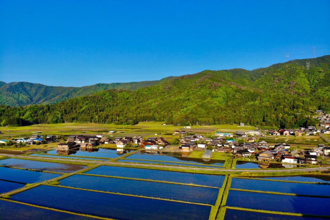 Photo of Others in Nagahama