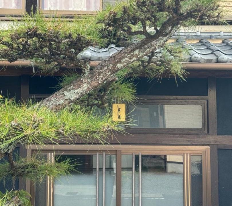 Photo of Others in Saijo