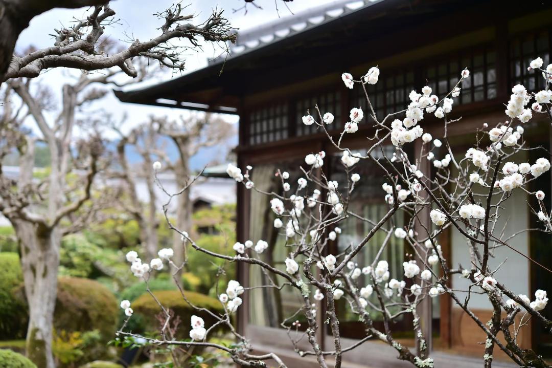 Photo of Others in Nara