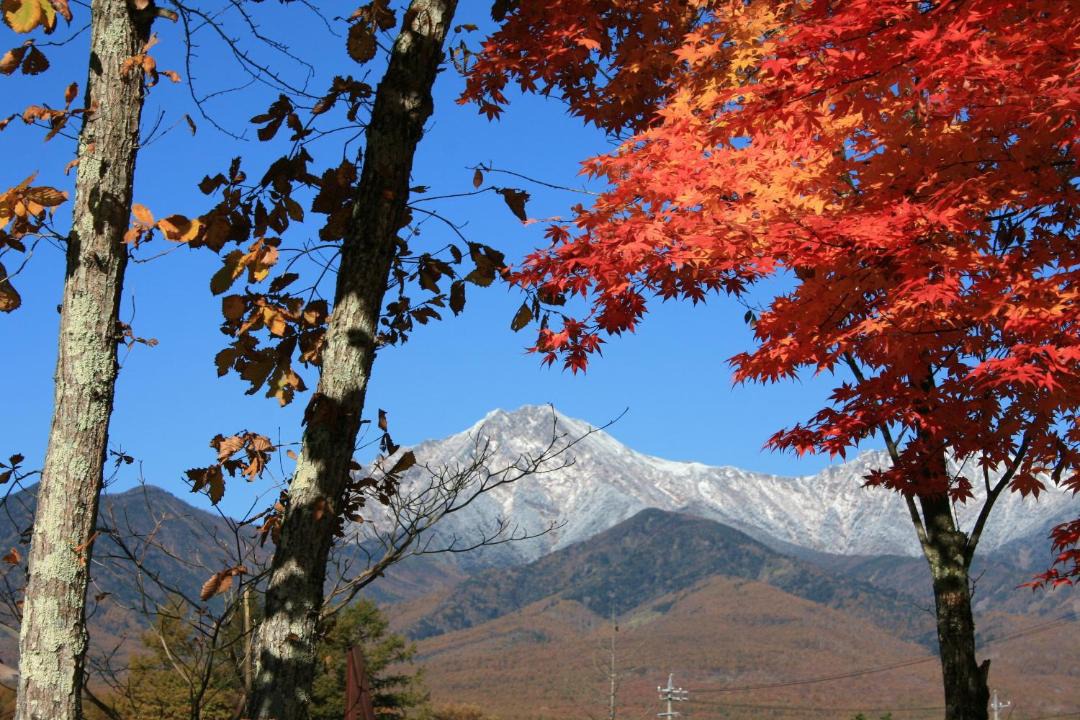 Photo of Others in Nobeyama