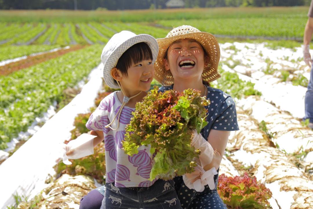 Photo of Others in Nobeyama
