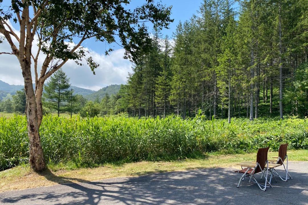 Photo of Others in Shiga Highlands