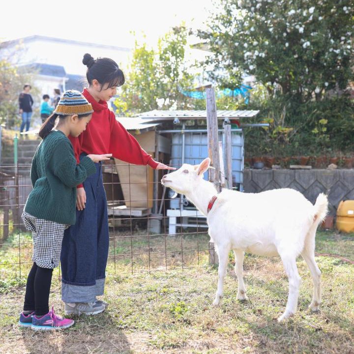 Photo of Others in Awaji