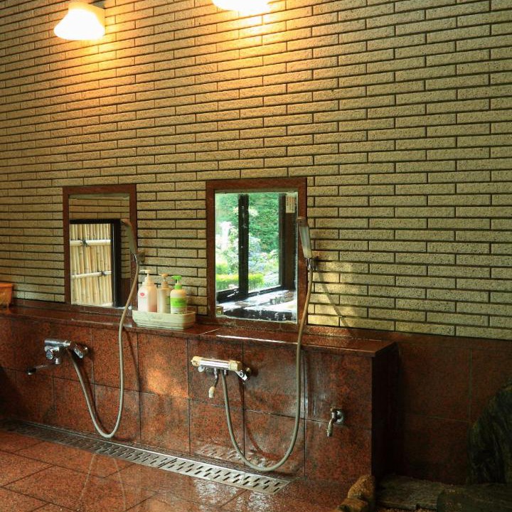 Photo of Bathroom in Yamanakako