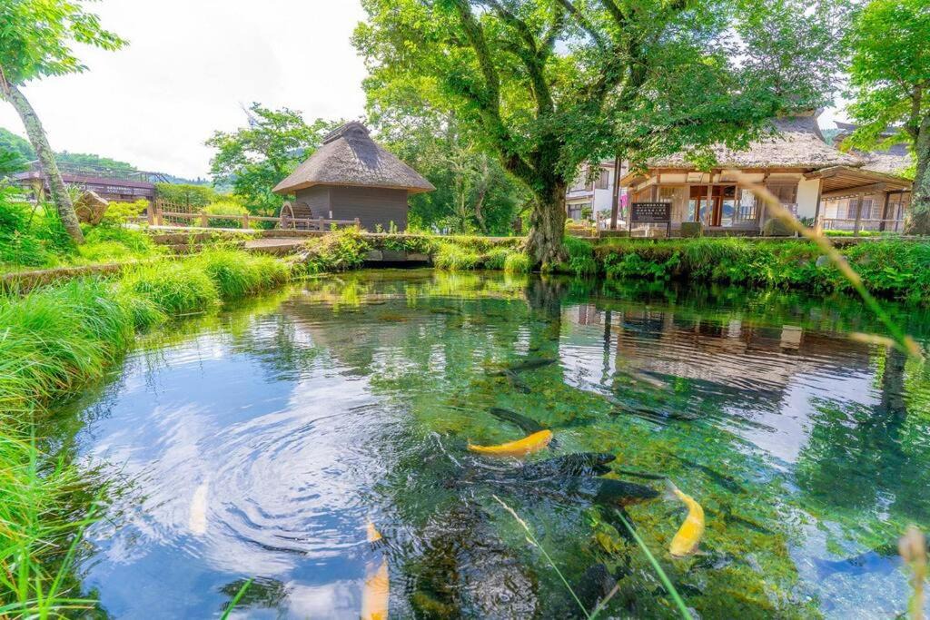 Photo of Others in Oshino