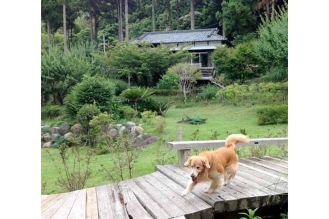 Photo of Others in Kawazu