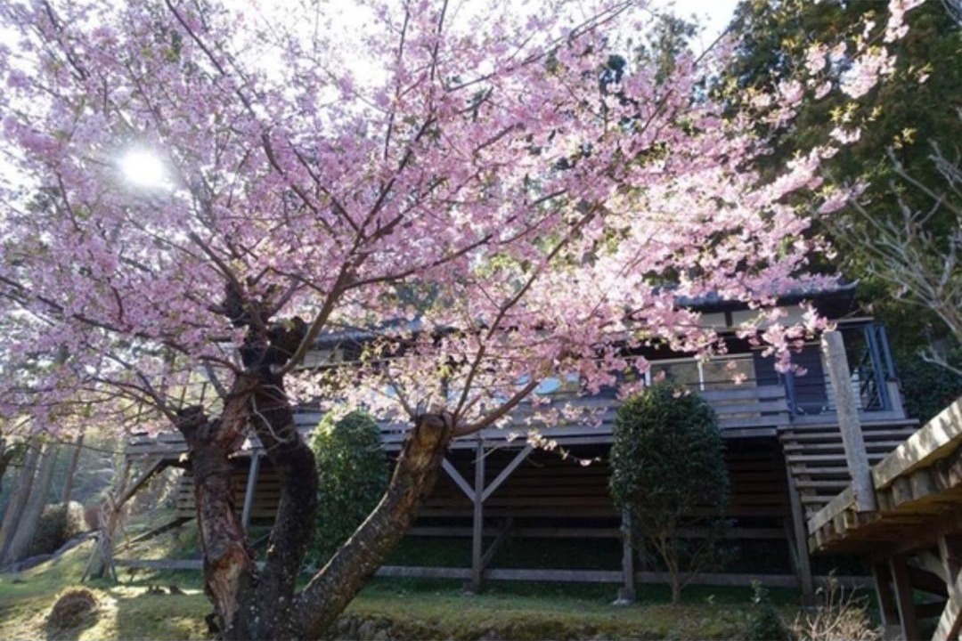 Photo of Others in Kawazu