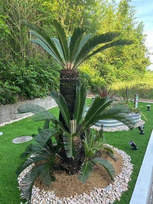 Photo of Outdoor in Mobara