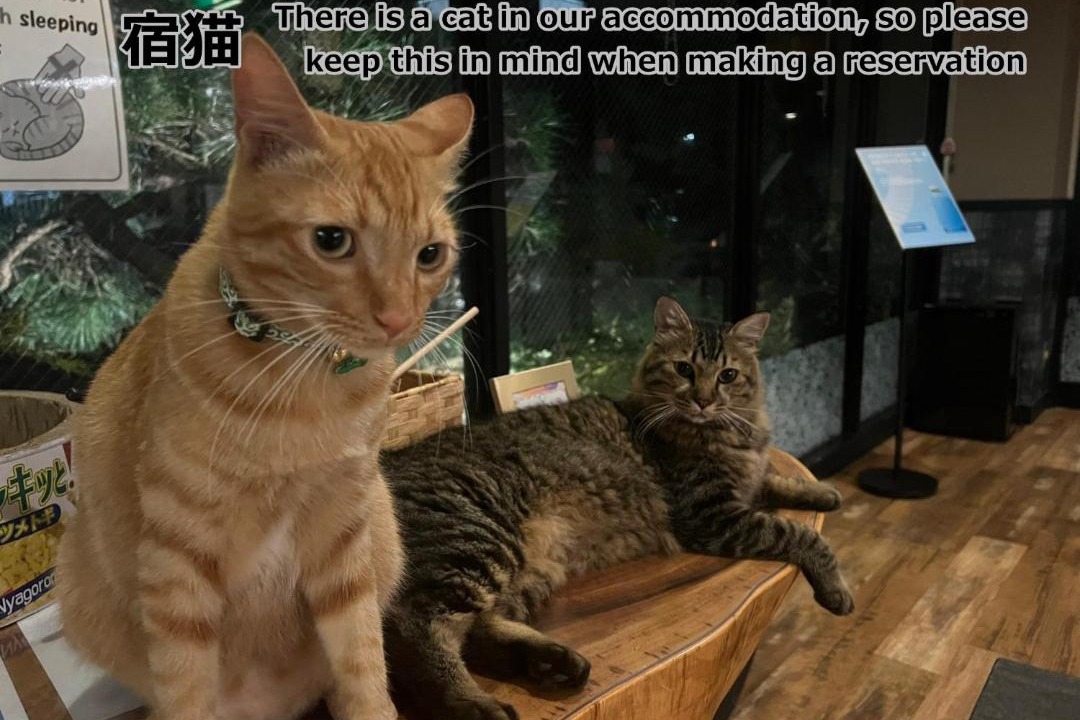 Photo of Others in Yufuin Onsen