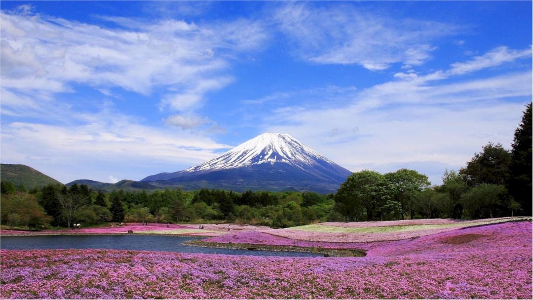 Photo of Others in Azagawa
