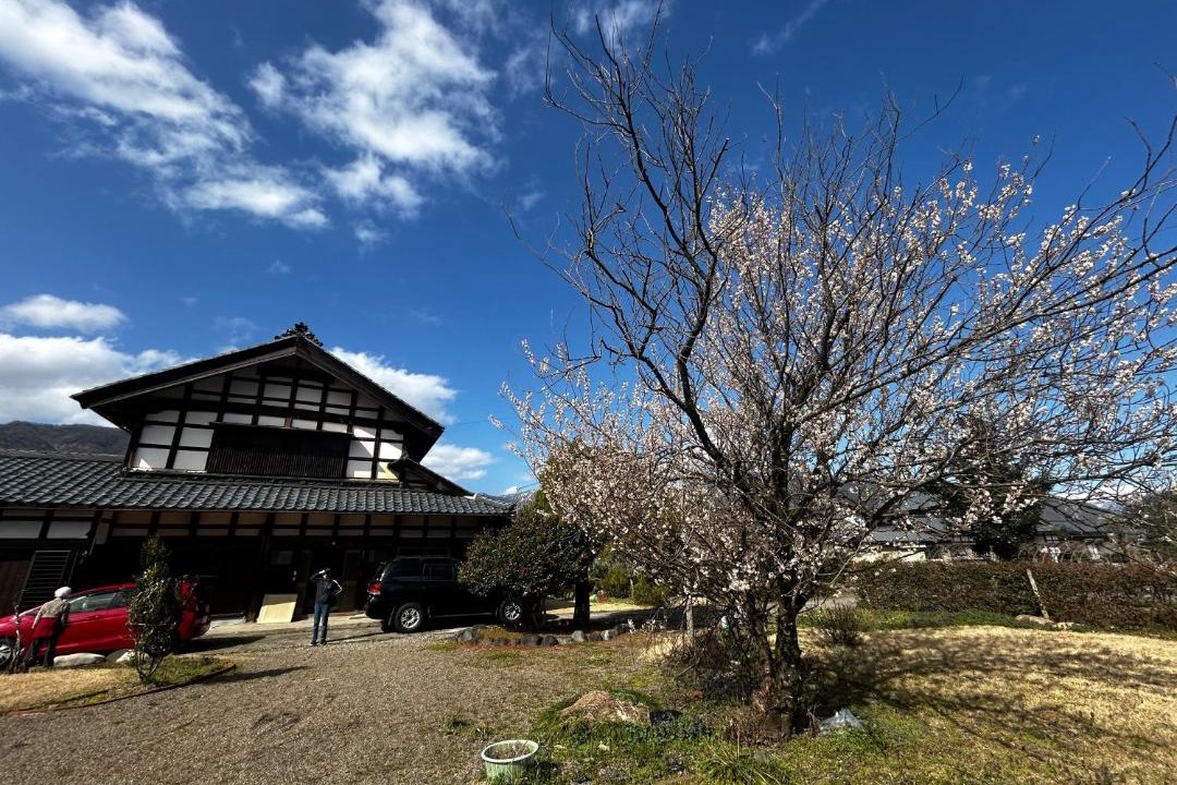 Photo of Others in Eiheiji