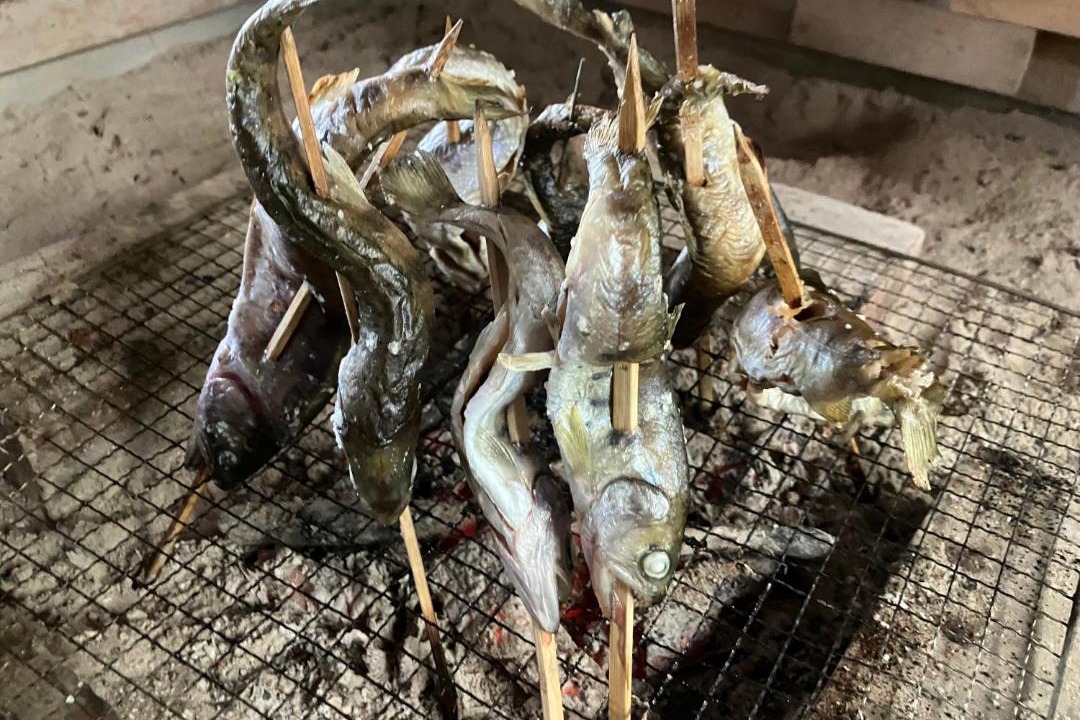 Photo of Others in Shimada