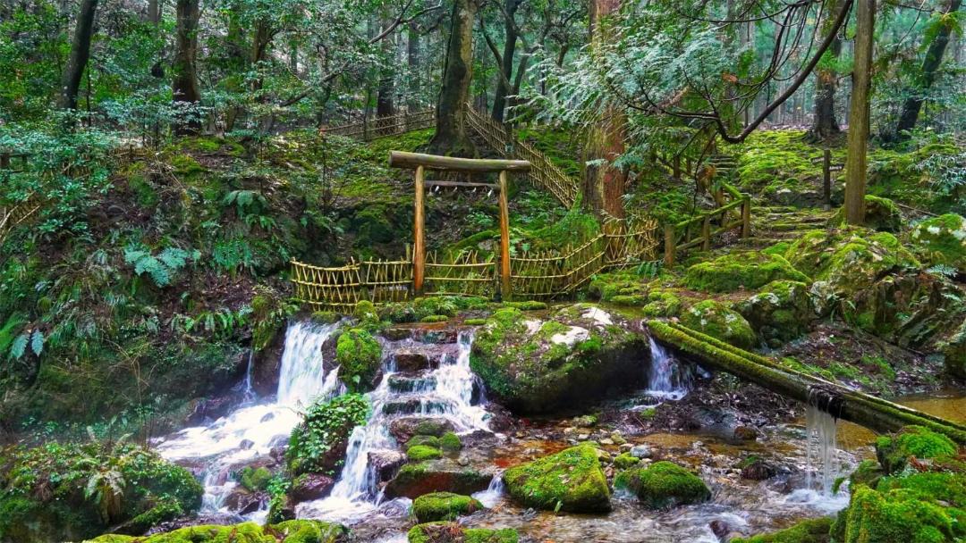 Photo of Others in Makino Shiratani Onsen
