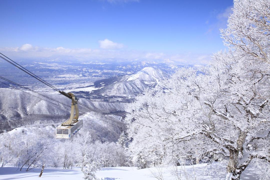 Photo of Others in Yamanouchi