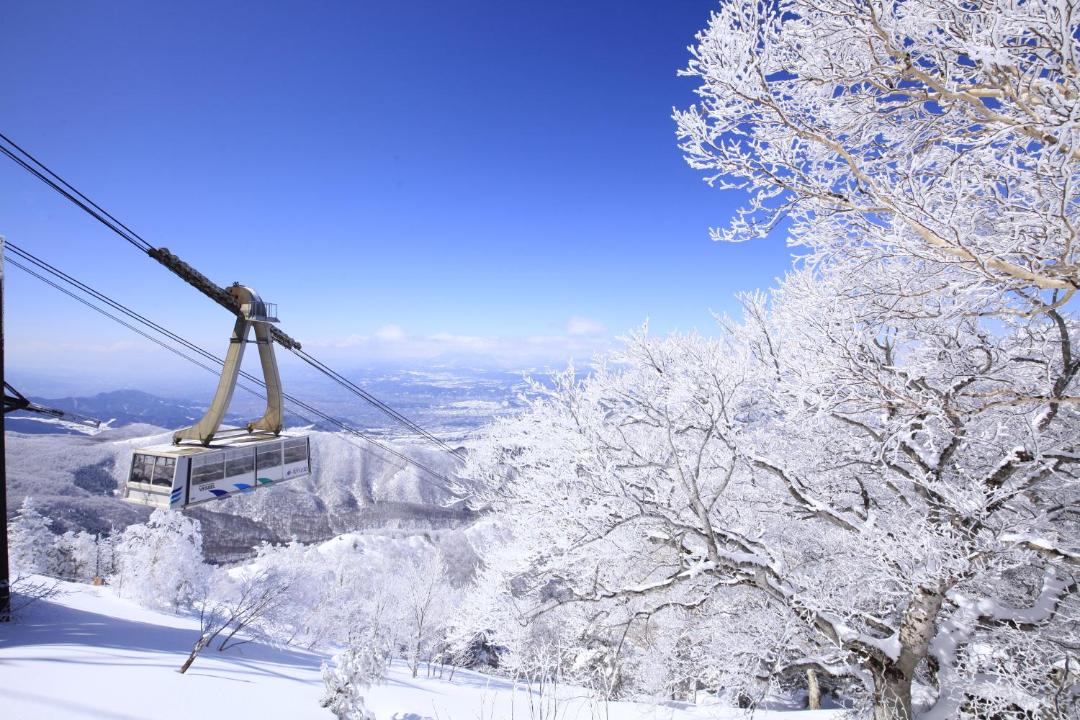 Photo of Others in Yamanouchi