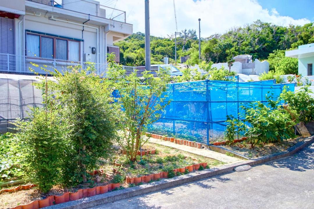 Photo of Others in Okinawa